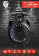 Speaker box 10''