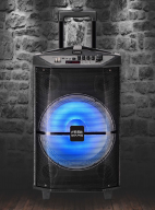 Speaker box 12''
